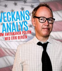 veckans-analys-logo.3.0-219x250.jpg